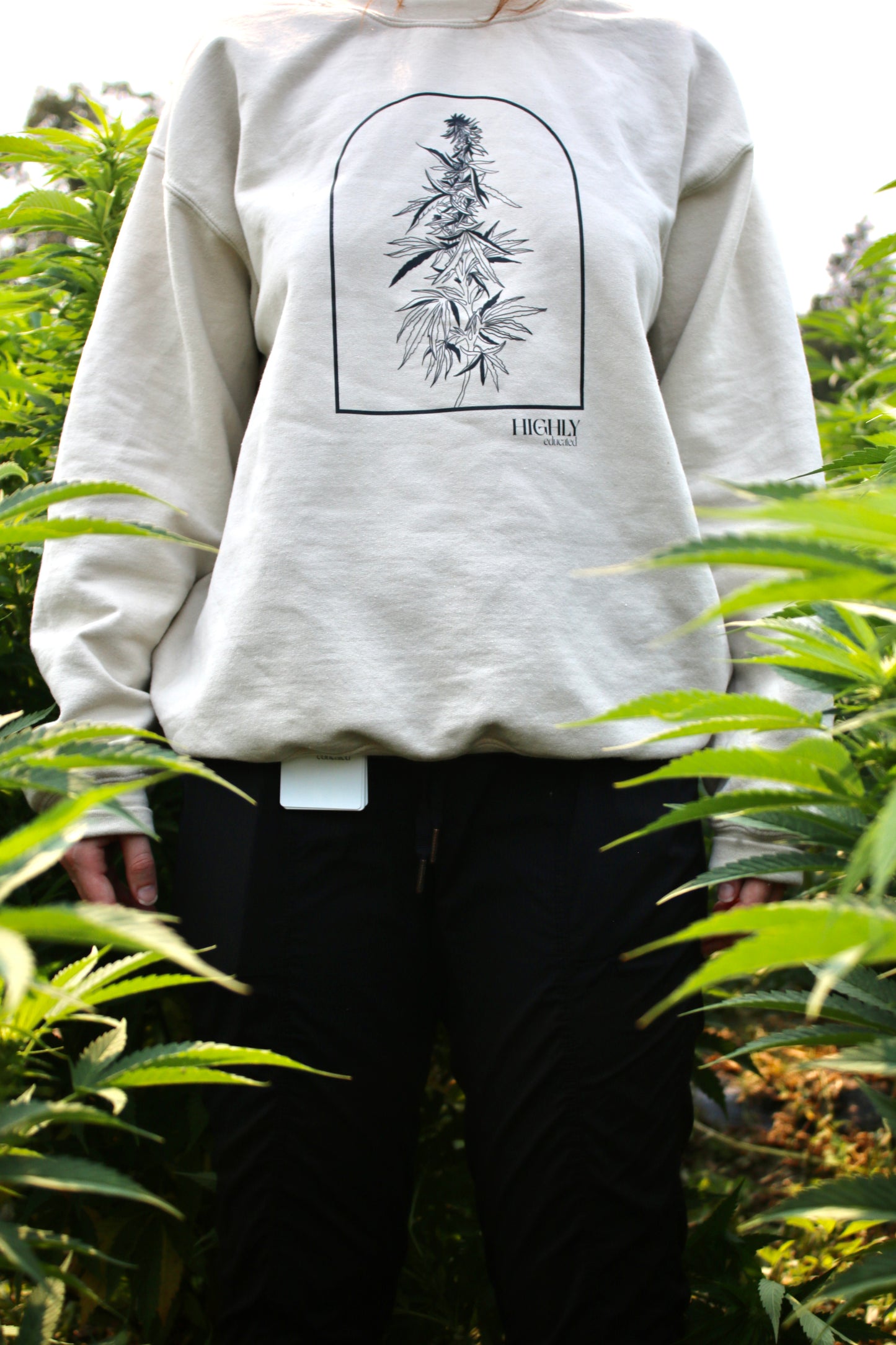 Sand Dome Crewneck